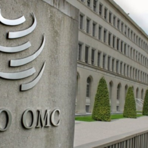 «WTO’s 13th ministerial conference: believing in miracles» A Geneva Solutions talk