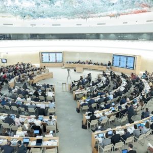 A litmus test for the Human Rights Council: navigating divides and global crises
