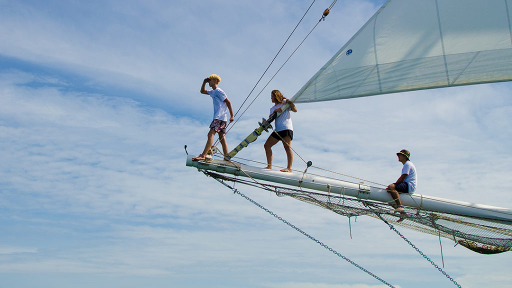 [Conférence de presse] Expédition 2026-2030: La Fondation Pacifique à la découverte des mangroves autour du Monde !